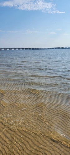 Beautiful water and a view of the bridge by alexandria 11, 