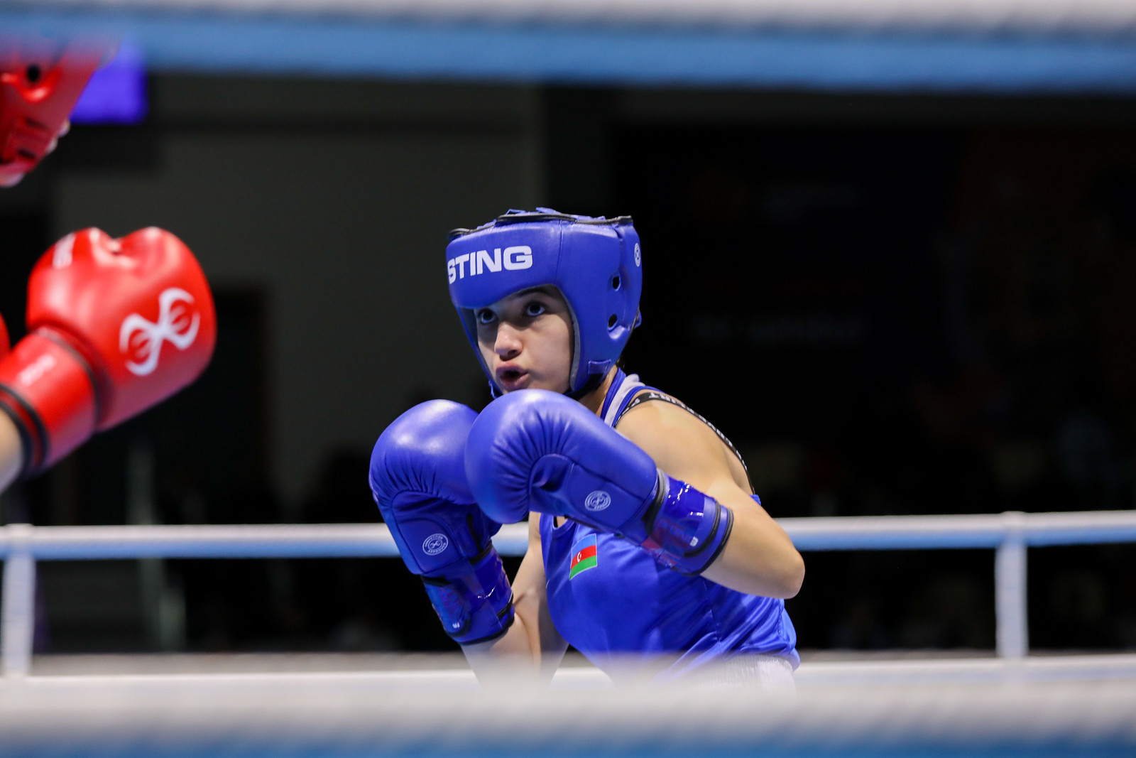 29.09.2025 Boxing Competition Day | Flickr