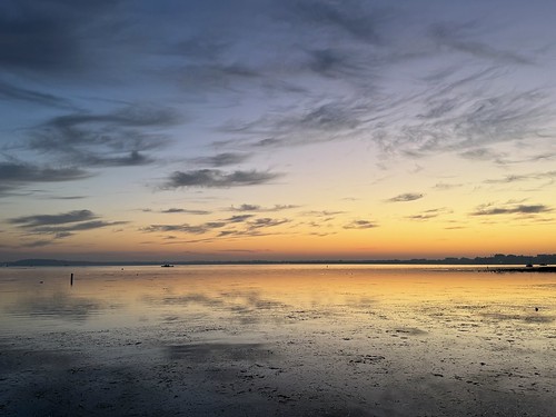 IMG_3997