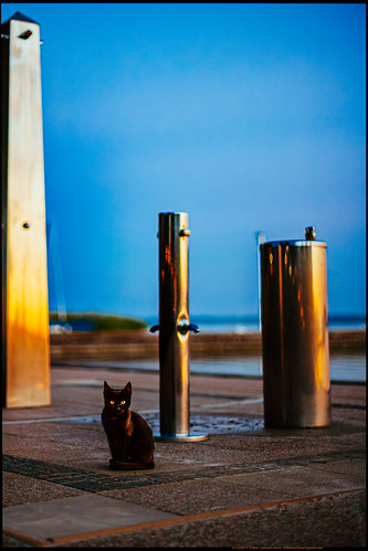 Little Sphinx of Chrome | by Lucas V. C. - MonochromeMan