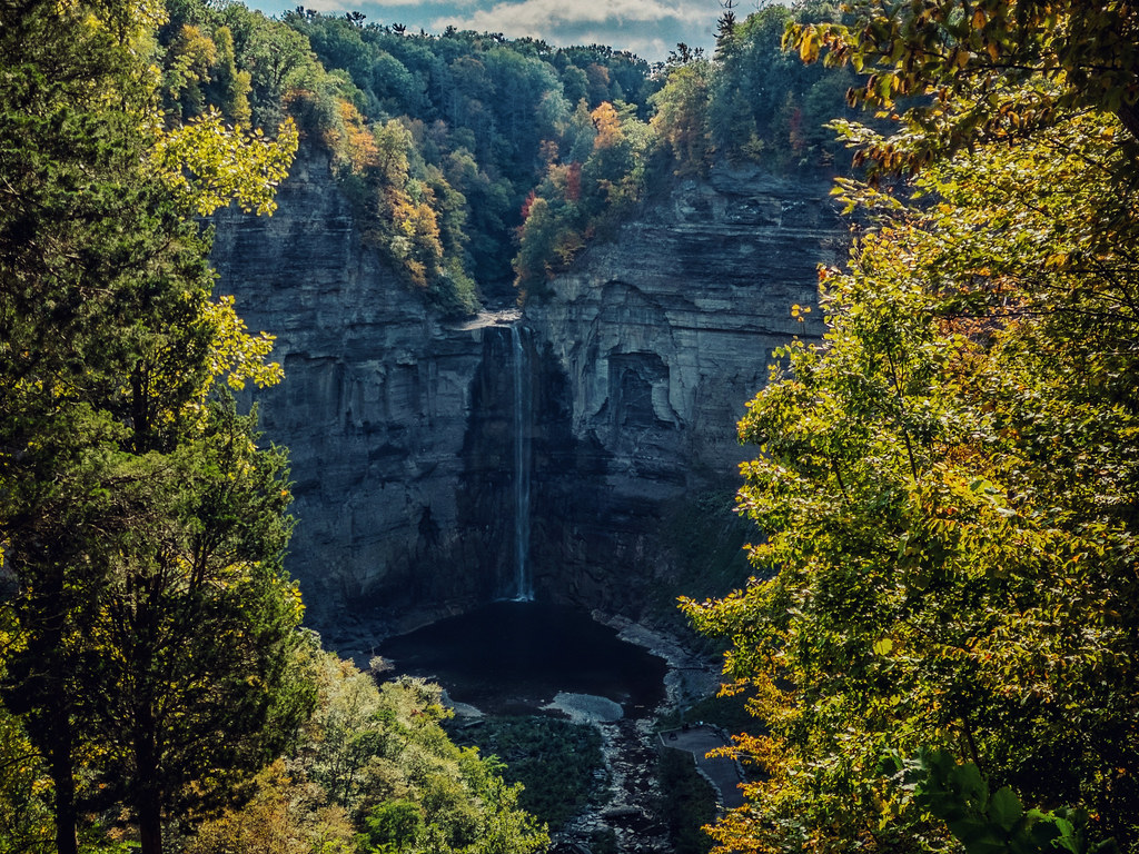 The tall falls drop into the gorge between green trees, with orange and red crowns just starting on the rim above.
