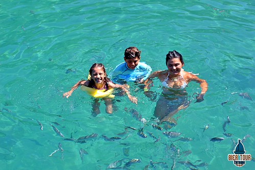 batch_IMG_1303