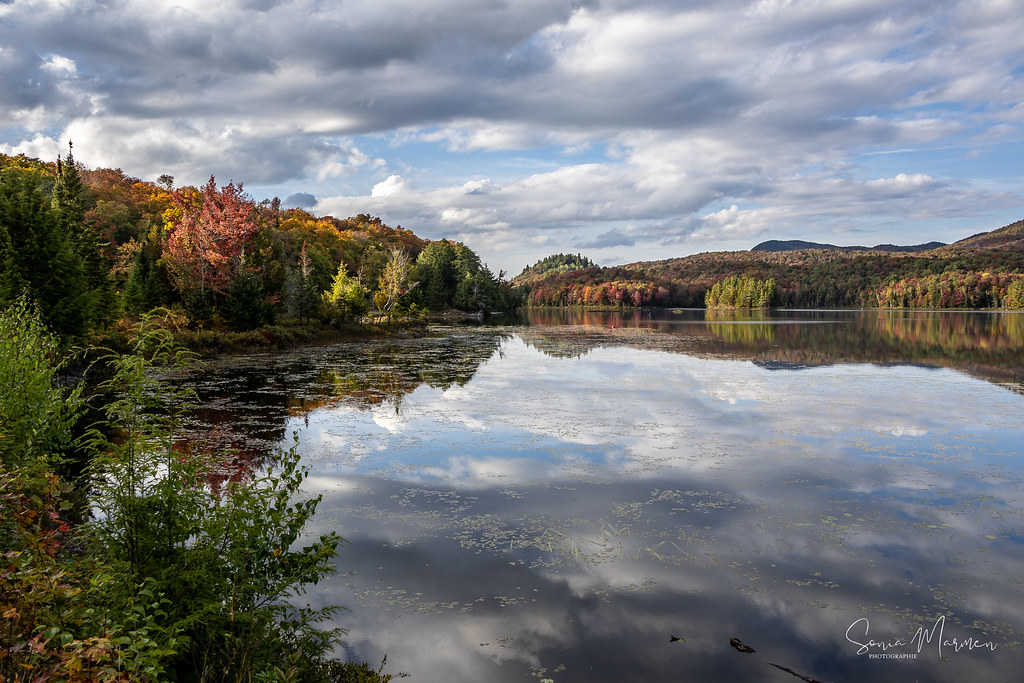 A red maple and turning hardwoods frame a still lake that mirrors the clouds and a far shore of rust and orange hills.