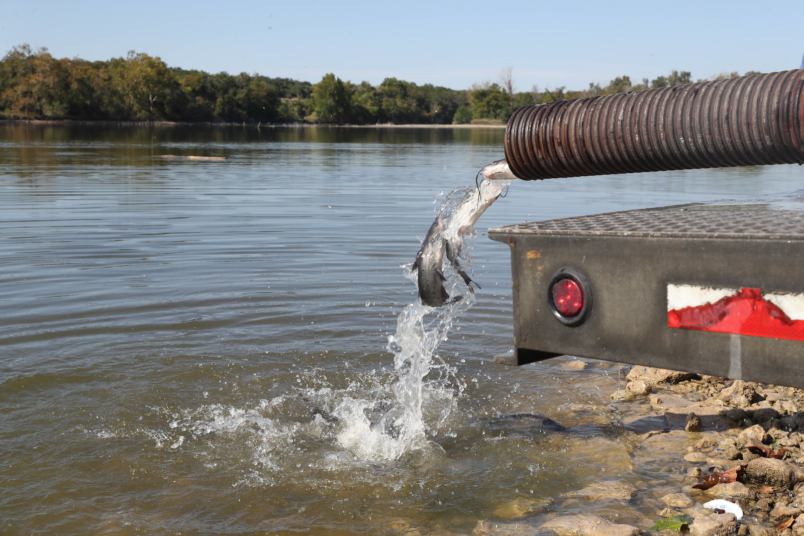 Fish Restocking Lakewood Park Fish Restock 2025 | Flickr