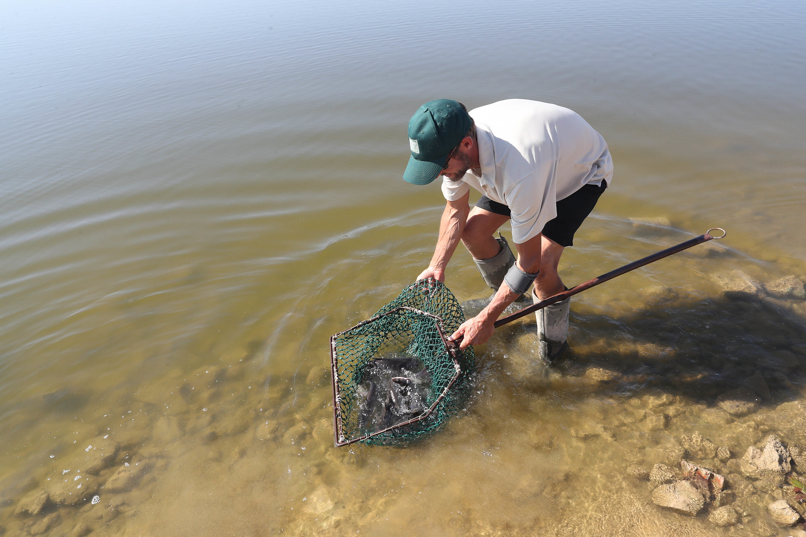 Fish Restocking Lakewood Park Fish Restock 2025 | Flickr