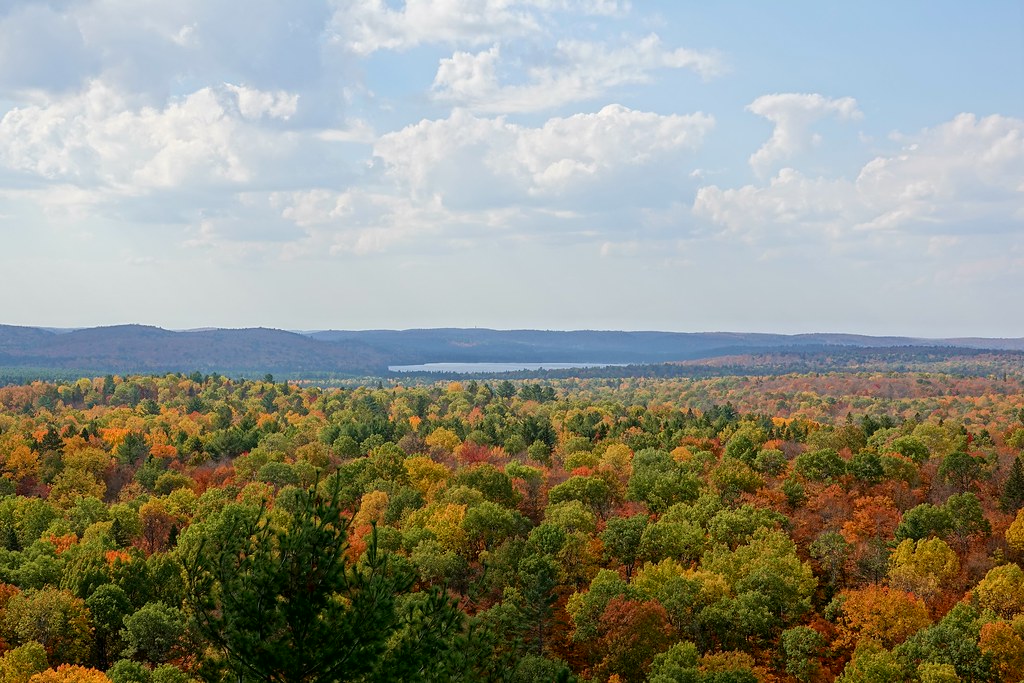 From the lookout, a canopy of orange, red, yellow and green crowns runs to a distant lake and blue hills.