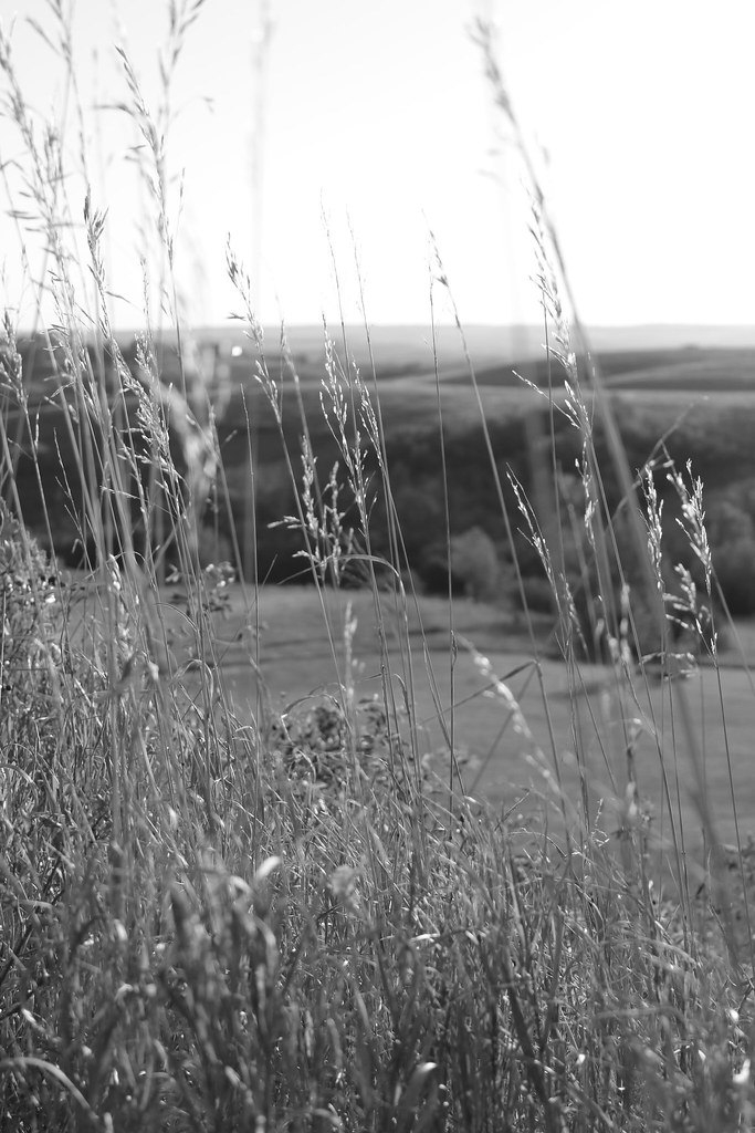 Random Flickr Random | Flickr
