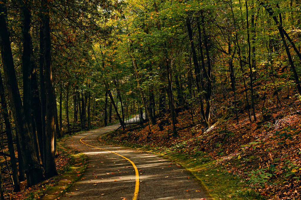 A curving paved path under tall hardwoods, the canopy green and olive and the slopes carpeted with fallen brown leaves.