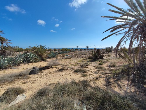 Djerba. Tunisie. Midoun. Paysage djerbien | by fvib'r