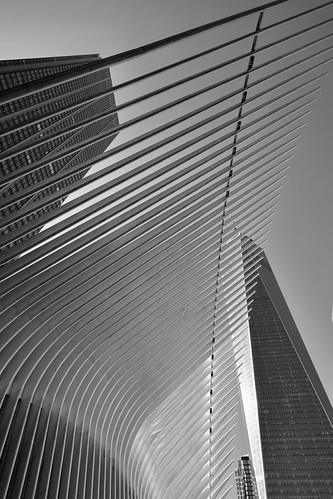 Shapes - NYC | by Adele1331