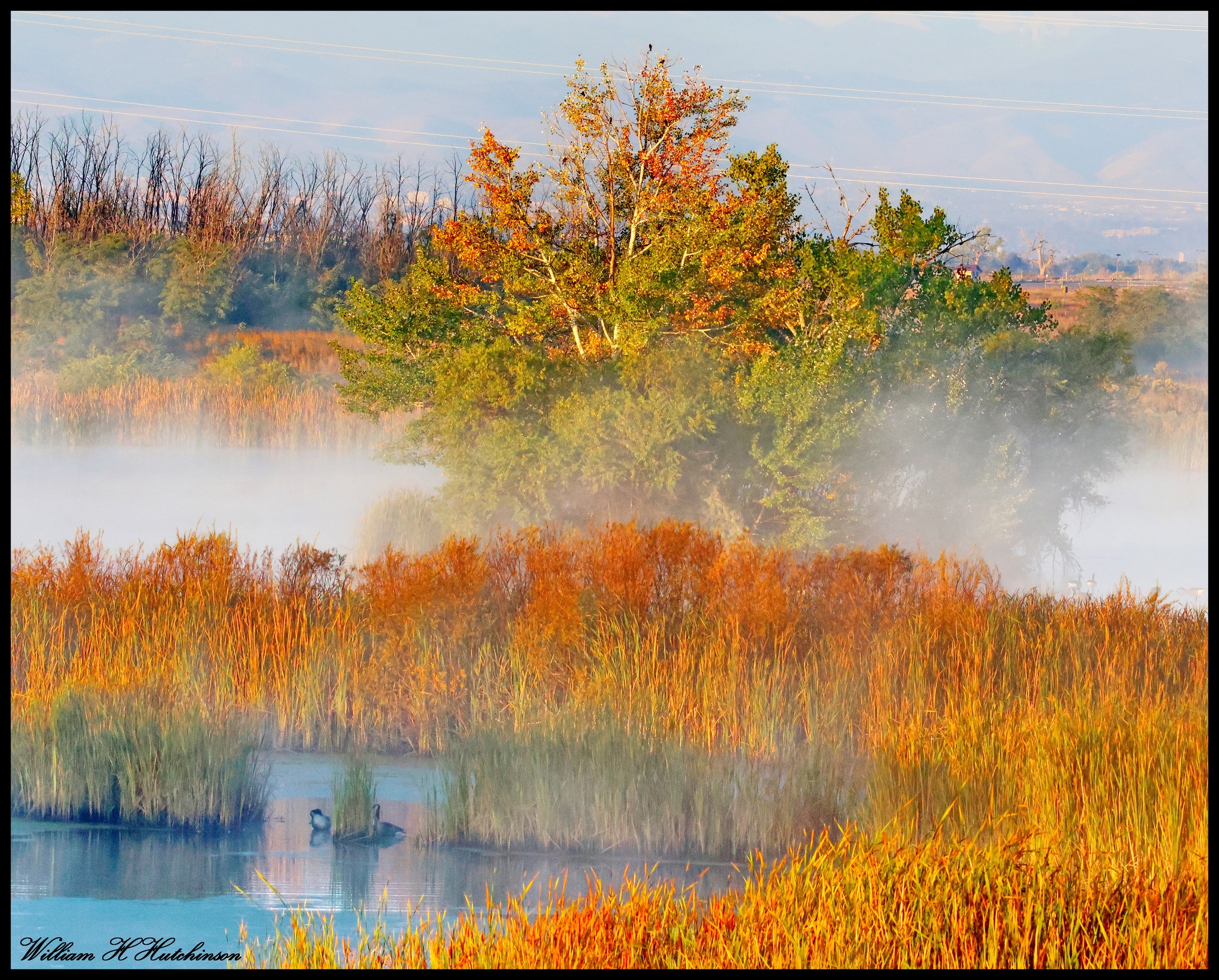 October 9, 2025 - A beautiful fall scene. (Bill Hutchinson)