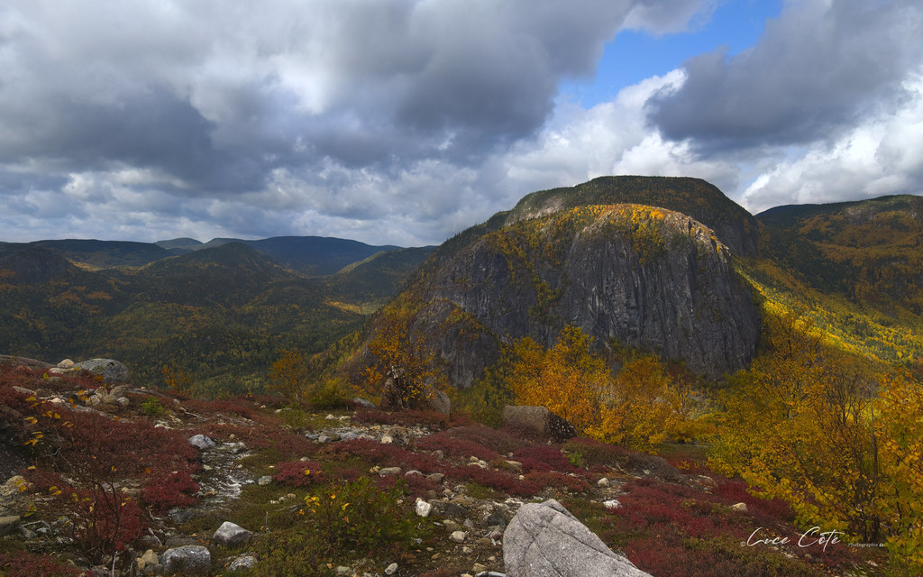 Red blueberry scrub on the summit looks across to a bare rock dome ringed with orange and yellow hardwoods.