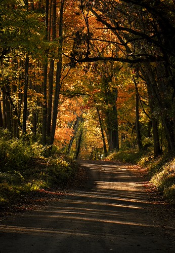 Pathway to where | by Syd in Stillness