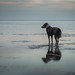 Reflecting