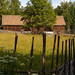 CRW_9014