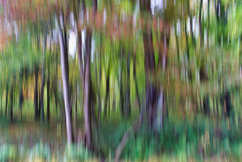 Forest Abstract | by JMS2