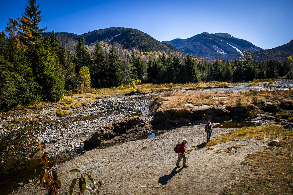 Two hikers cross the drained flats at Marcy Dam below Colden, the hillside behind mostly bare grey with the last yellow birches among spruce.
