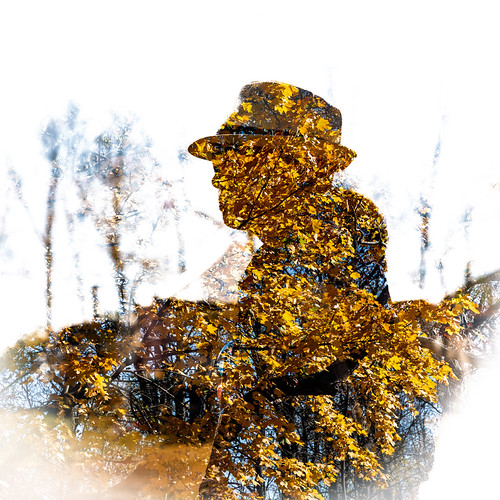 Multi-incamera Exposure | by tesarver