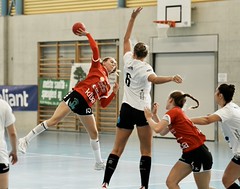 SPL2 Handball Nordwest - HC Arbon