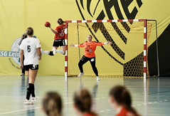 SPL2 Handball Nordwest - HC Arbon