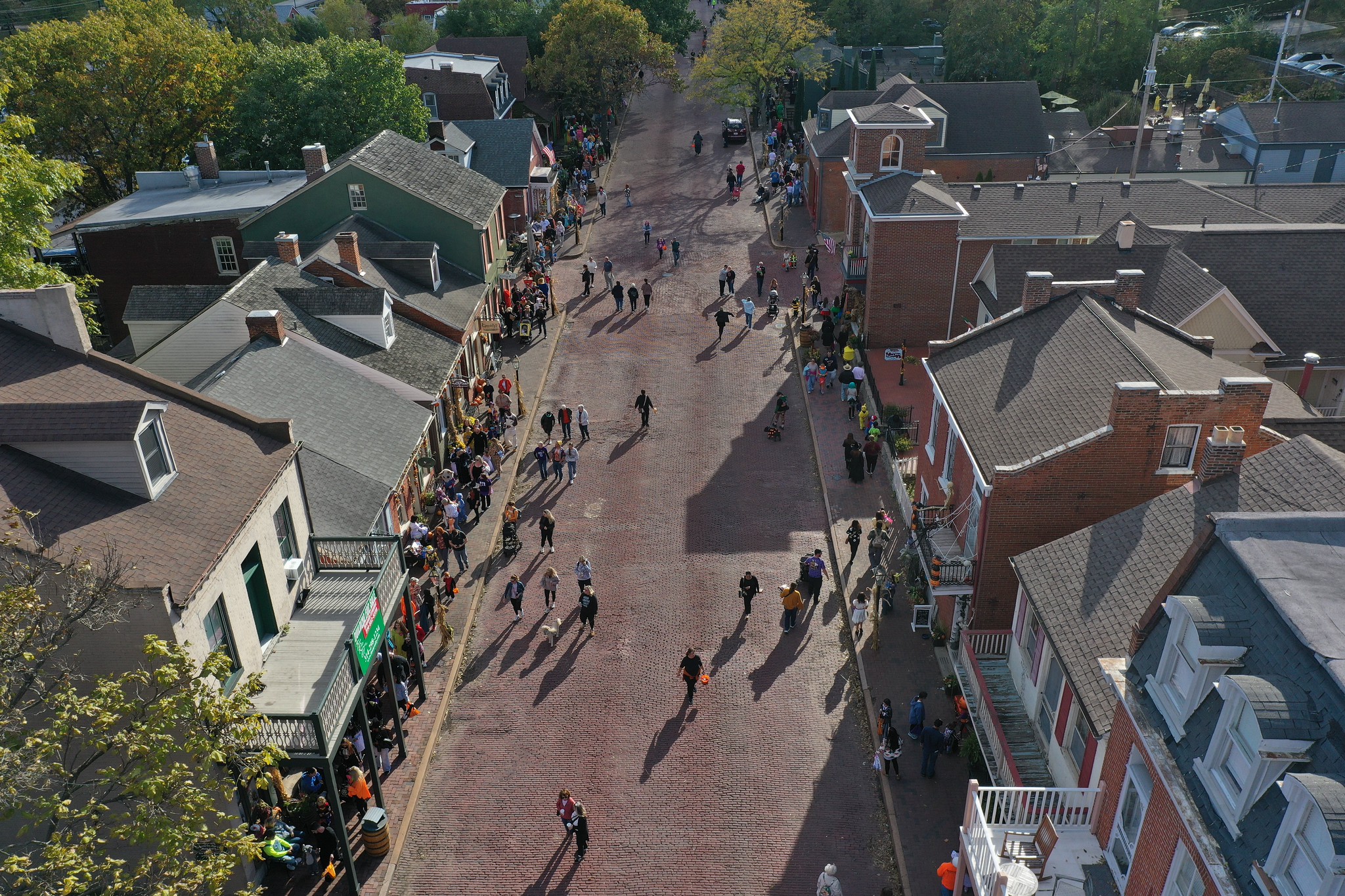 DJI_0461