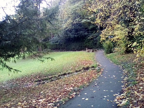A walk in the park | by Rover 1
