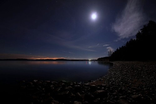 Moonlit night