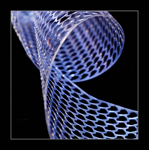 Macro Mondays: mesh | by Körnchen59