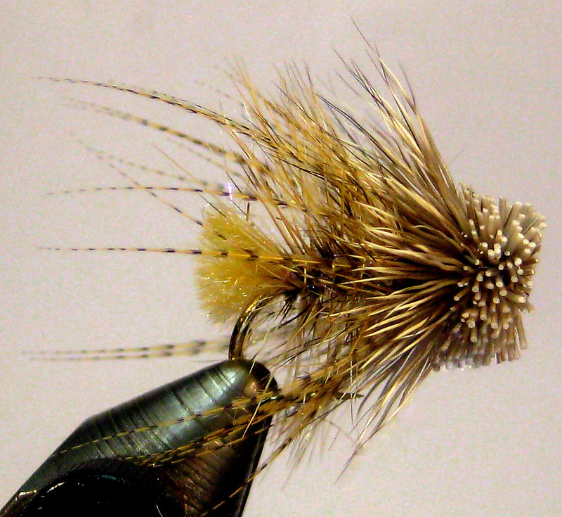 54920167737_b8aa7c3353_c.jpg