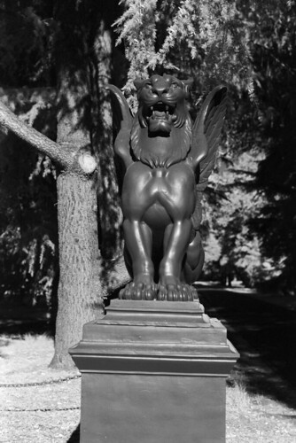 11-2025-Rollei-IR-400-12