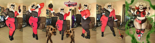 Harley Quinn - DC Comics - Halloween 2024-2025 (2) | by Tallulah Twilight