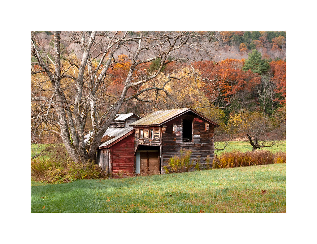 A weathered sugar house below a bare old tree, with orange and rust oaks and maples on the hill behind.