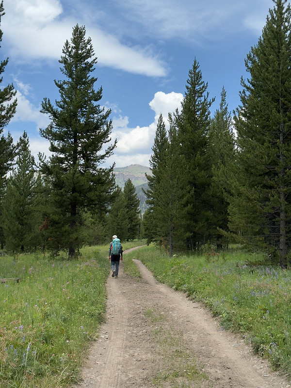 Pateando Yellowstone - Blogs de USA - 19/07/2025. Backpacking1. Día 1. Slough Creek a Frenchy Meadows (11)