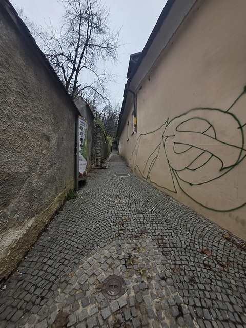 20251122_095619