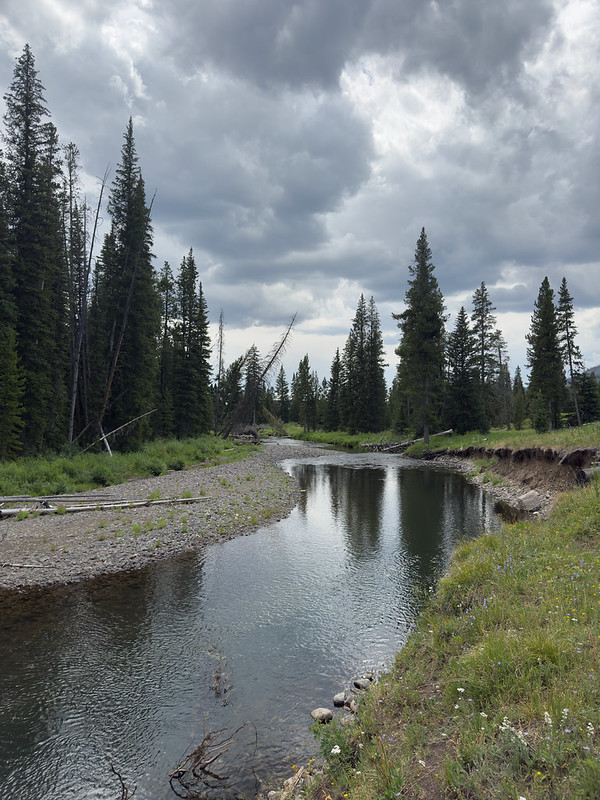 Pateando Yellowstone - Blogs de USA - 21/07/2025. Backpacking1. Día 3. Intento Hidden Lake. Hasta el límite del P.N. (12)