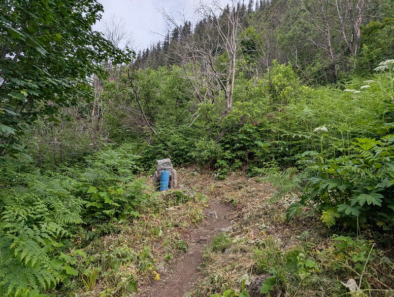 My big backpack waiting on the trail as I carry Vicki's pack forward - meanwhile, Vicki slowly hiked on