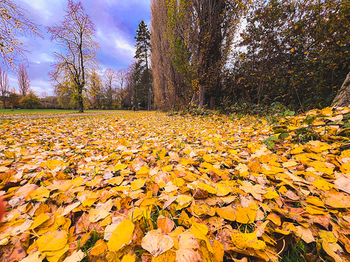 Walsall Arboretum | by cattan2011