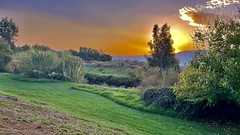 Silhouettes in the Sunset Light