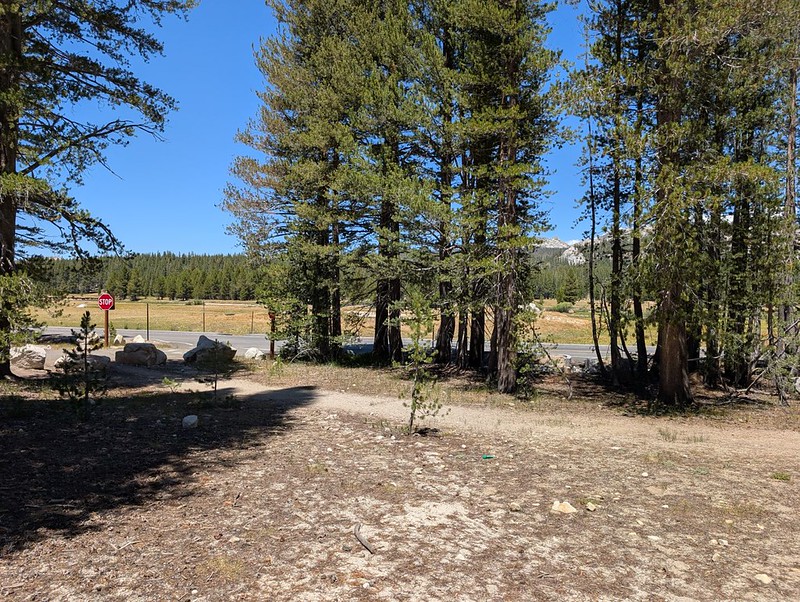 I made it to John Muir Trail mile 21.2, where it crosses Tioga Road, near Tuolumne Meadows