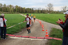 26.04.2023 Wiler Waldlauf