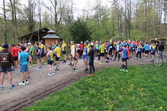 26.04.2023 Wiler Waldlauf
