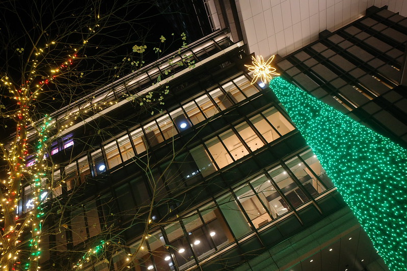 Winter Holiday tree illumination 03