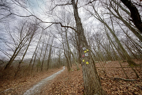 Directions | by JMS2