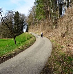 11.03.2017 Crosslauf