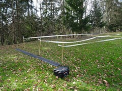 11.03.2017 Crosslauf