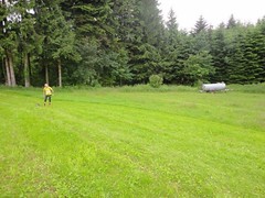 08.06.2016 Mehrkampf