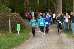 27.04.2016 Wiler Waldlauf