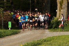 27.04.2016 Wiler Waldlauf