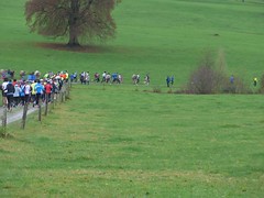 06.11.2016 Herbstlauf