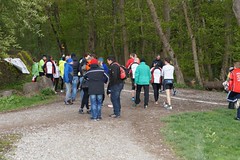 27.04.2016 Wiler Waldlauf